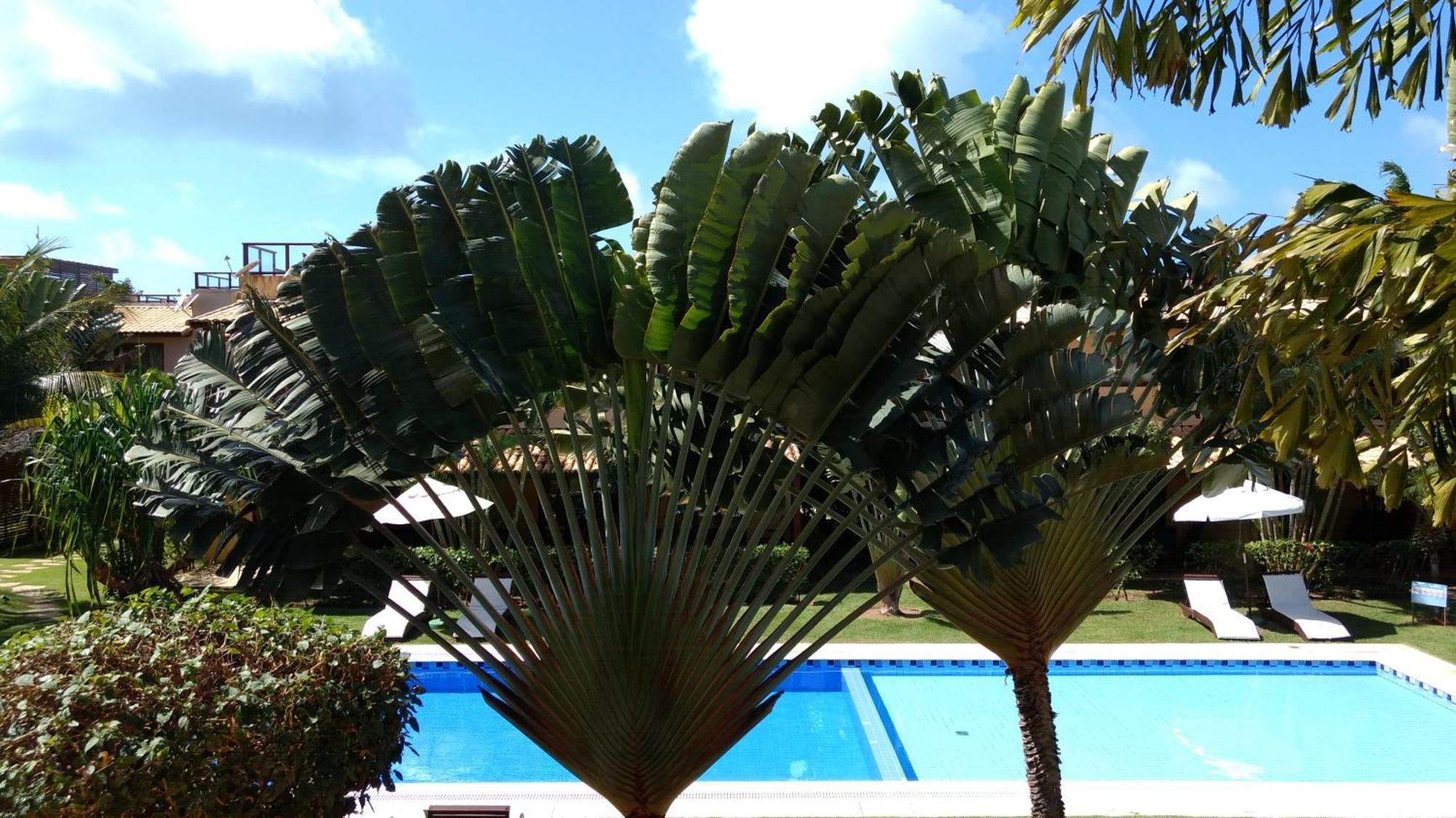 Unidades Vilas Triplex No Pipa Beleza Praia de Pipa Zewnętrze zdjęcie